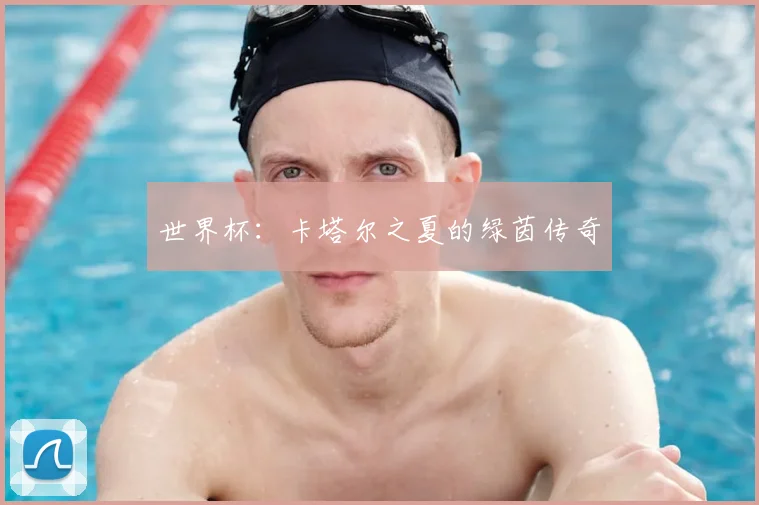 世界杯：卡塔尔之夏的绿茵传奇