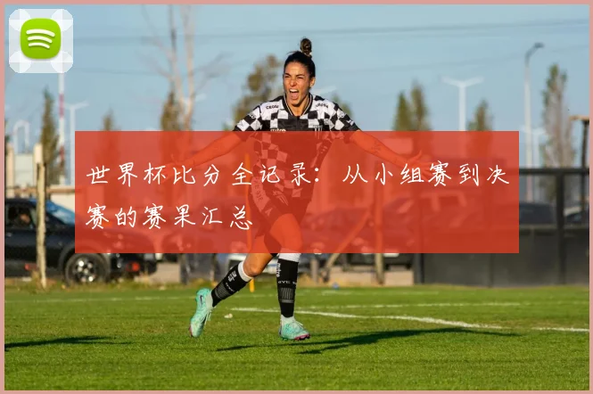 世界杯比分全记录：从小组赛到决赛的赛果汇总