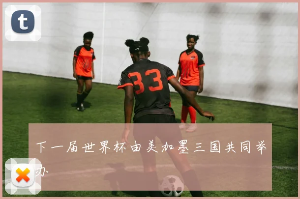 下一届世界杯由美加墨三国共同举办