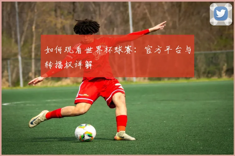 如何观看世界杯球赛：官方平台与转播权详解