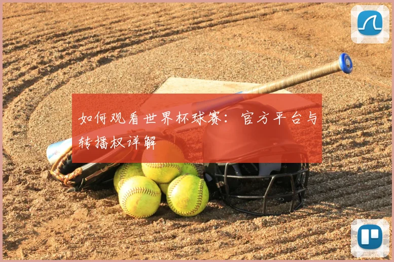 如何观看世界杯球赛：官方平台与转播权详解