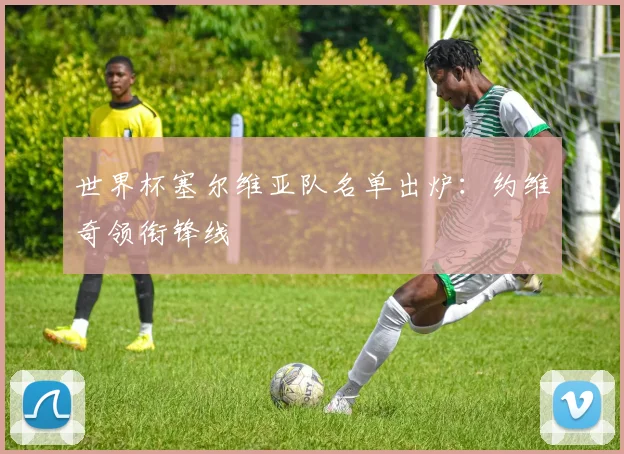 世界杯塞尔维亚队名单出炉：约维奇领衔锋线