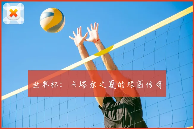 世界杯:卡塔尔之夏的绿茵传奇