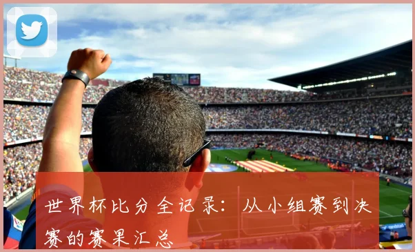 世界杯比分全记录：从小组赛到决赛的赛果汇总