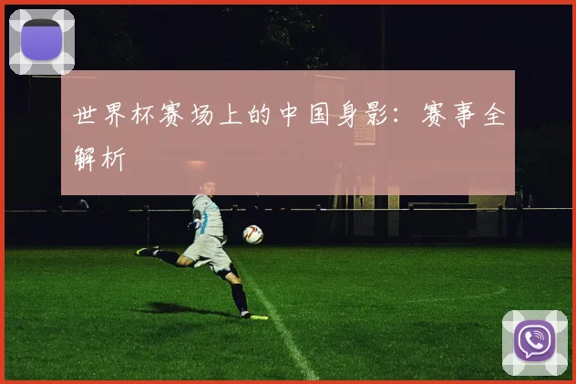 世界杯赛场上的中国身影：赛事全解析